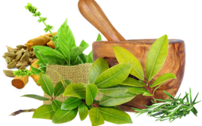 Introduction to Ayurveda ?