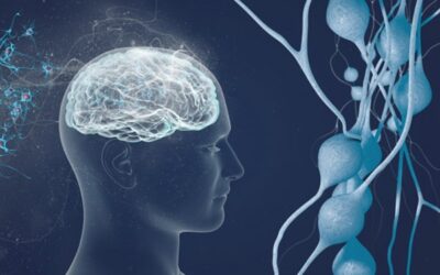 Heal multiple sclerosis and other degenerative diseases