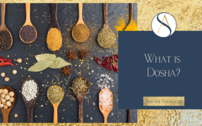 What is Dosha?